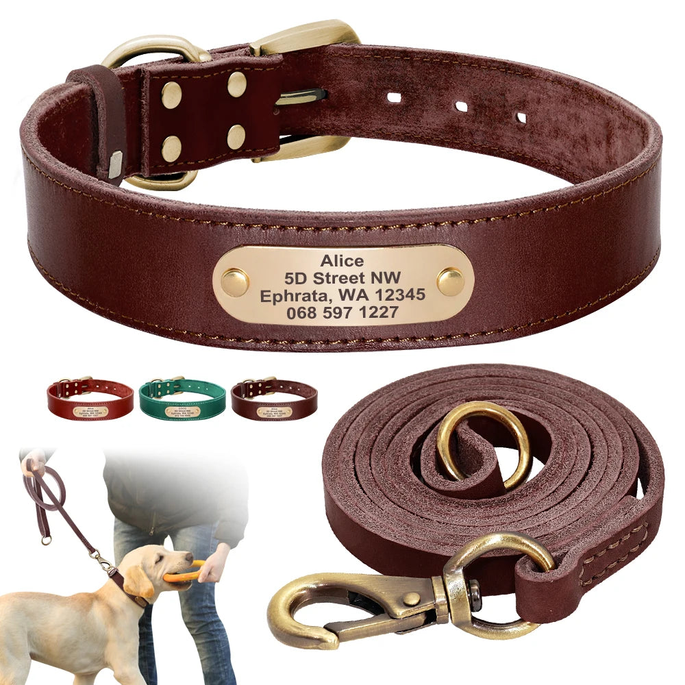 Custom made dog collars and leashes best sale