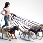 The Pros and Cons of Using Multi Dog Leash