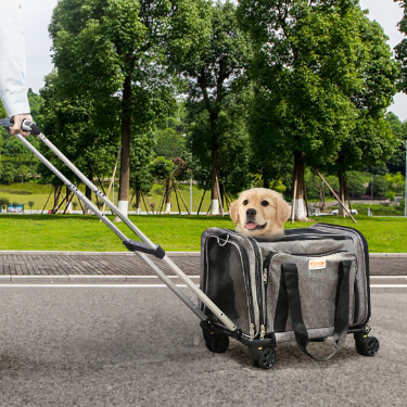 Breathable Carrier with Telescopic Handle and Wheels