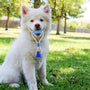 Interactive Suction Cup Chewing Toy