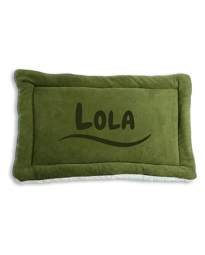 Personalized Green Double-Sided Dog & Cat Mat Bed - Custom Engraved Fleece & Sherpa Pet Bed, Washable Handmade Blanket