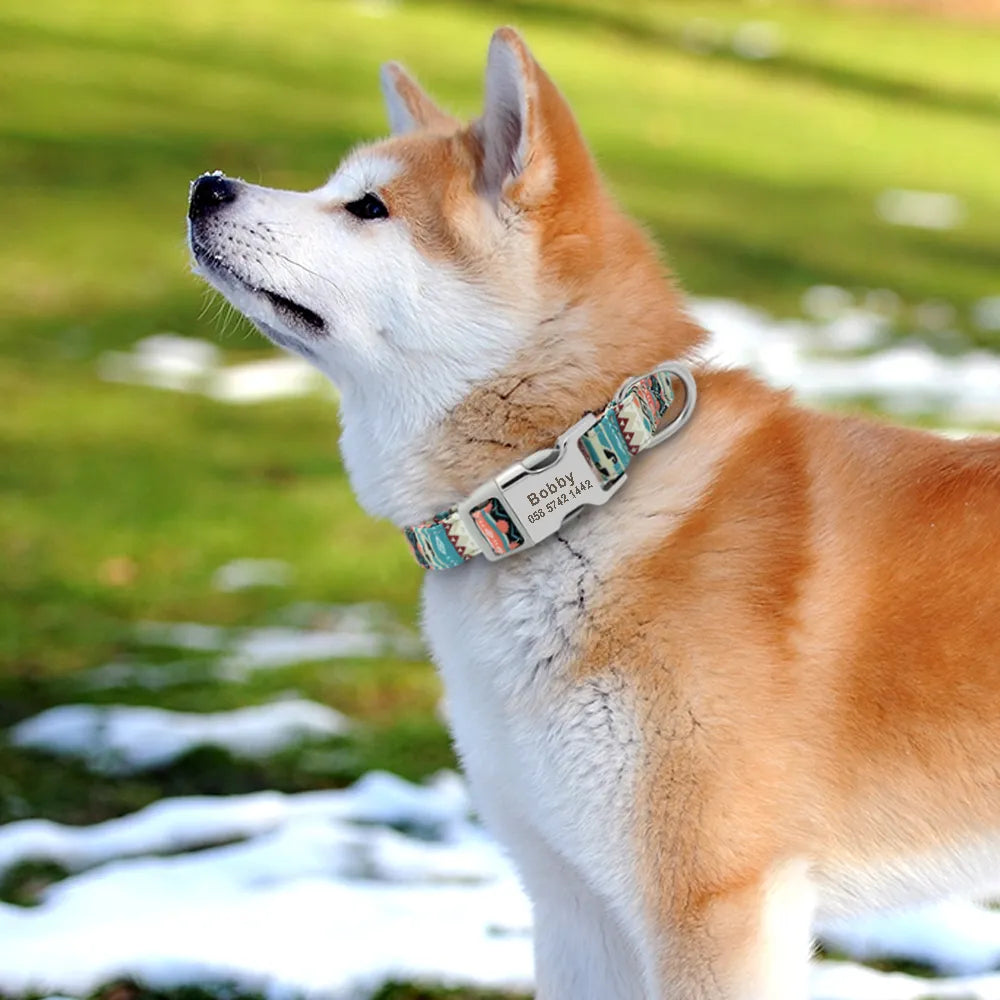 Personalized Dog Collar with Name