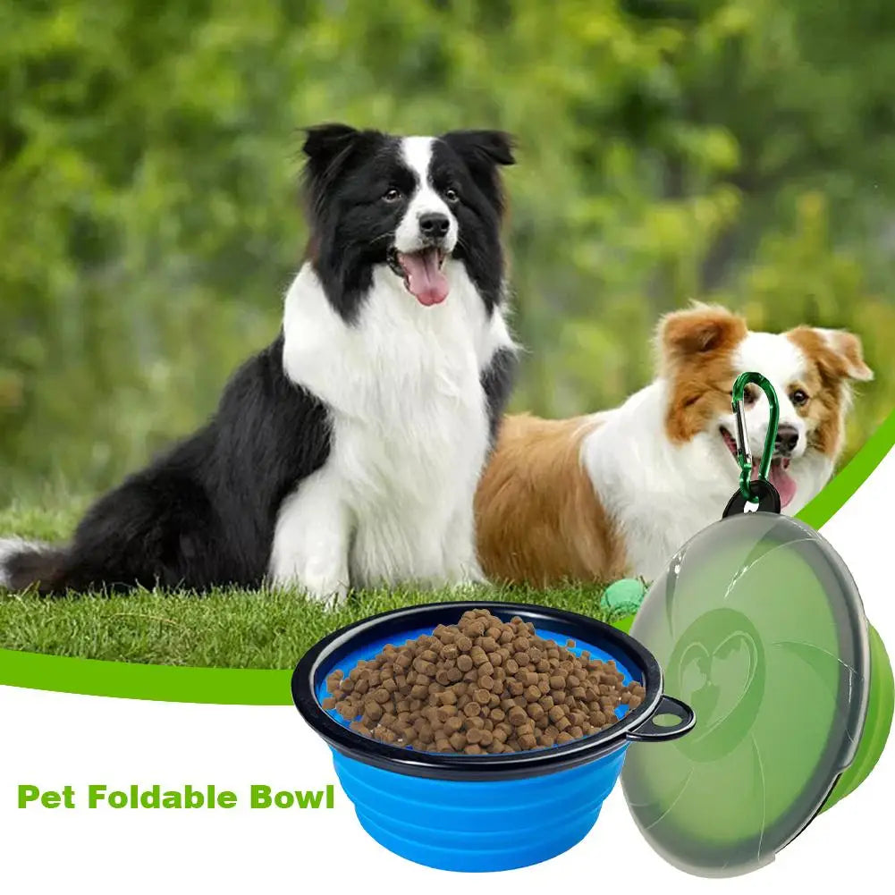 Collapsible Dish Bowl with Lid