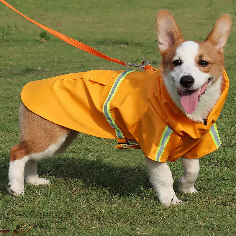 Pet Winter Raincoat