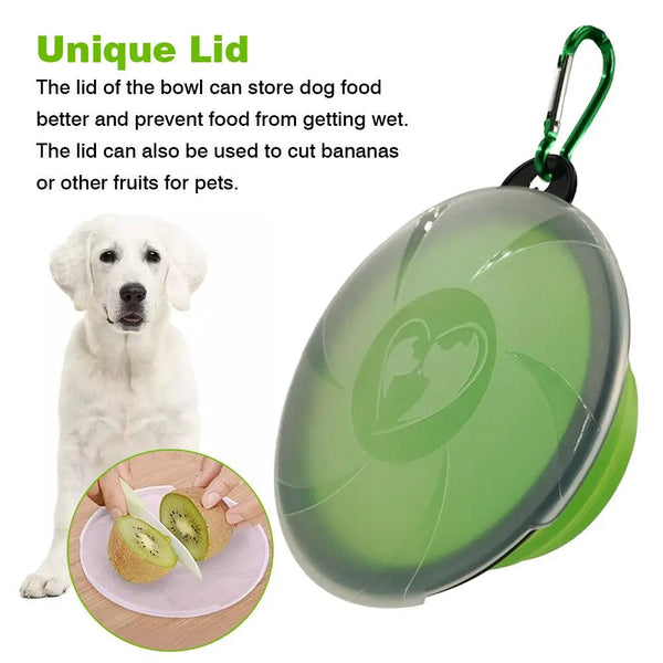 Collapsible Dish Bowl with Lid
