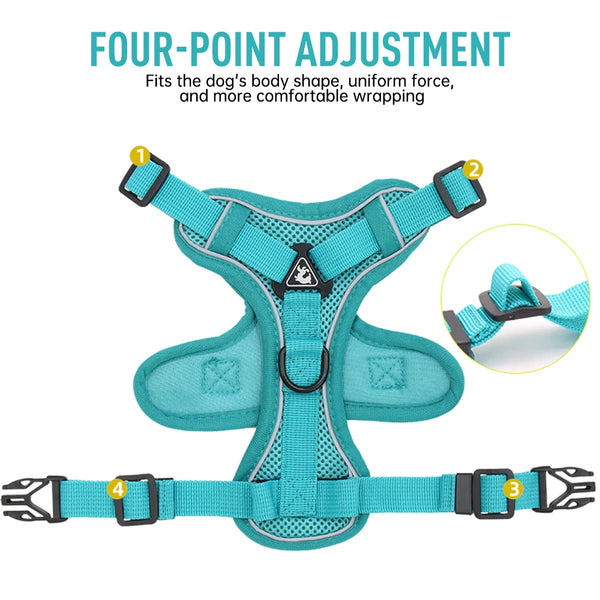 Reflective and Adjustable Padded Cat Harness and Leash