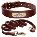  brown collar leash