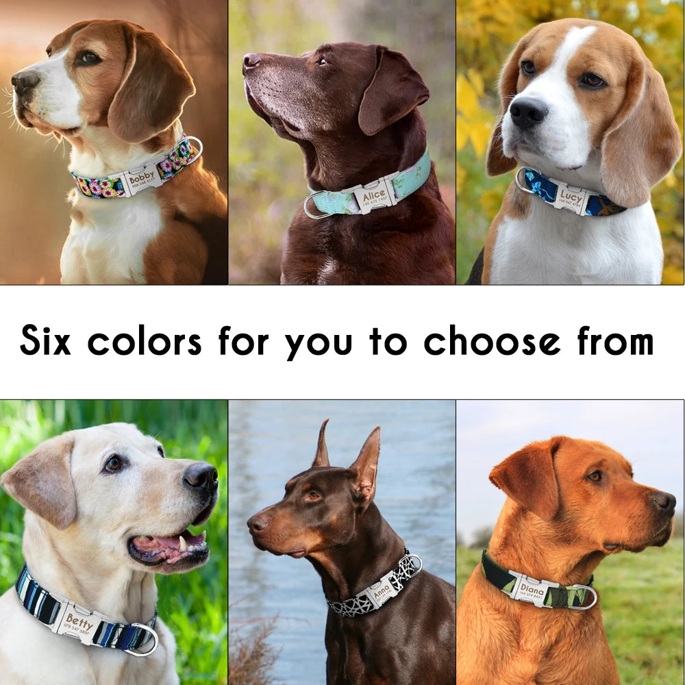 Personalized Dog Collar with Name