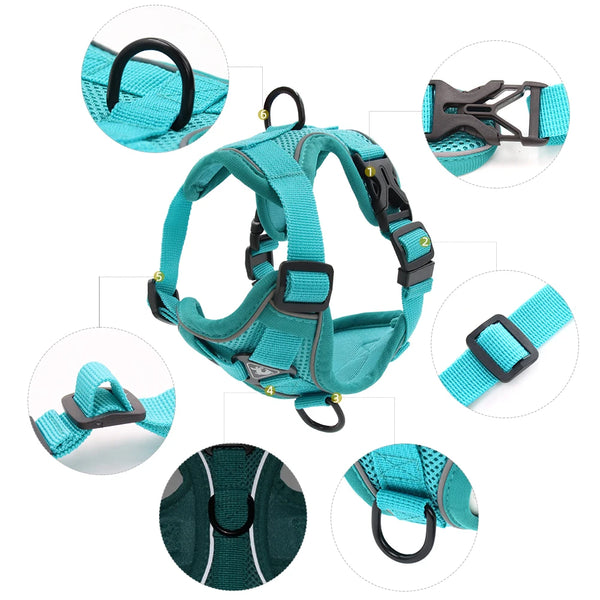 Reflective and Adjustable Padded Cat Harness and Leash
