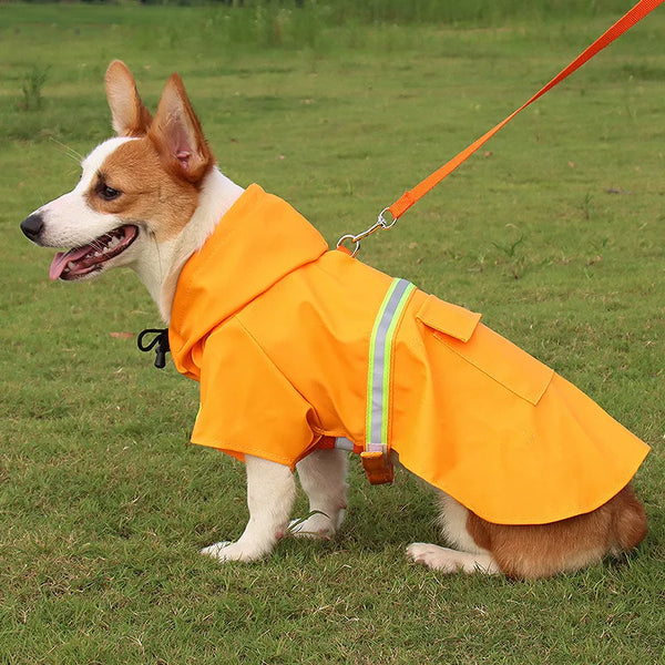 Pet Winter Raincoat