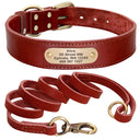  red collar leash