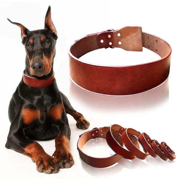 Heavy Duty Dog Collars Cowhide Leather Brown for All Breeds