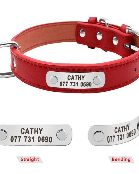 red dog collar