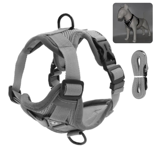 Reflective and Adjustable Padded Cat Harness and Leash