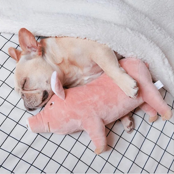 Durable Pet Stuffed Toy