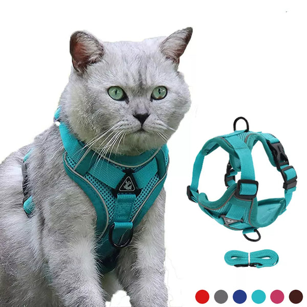 Reflective and Adjustable Padded Cat Harness and Leash