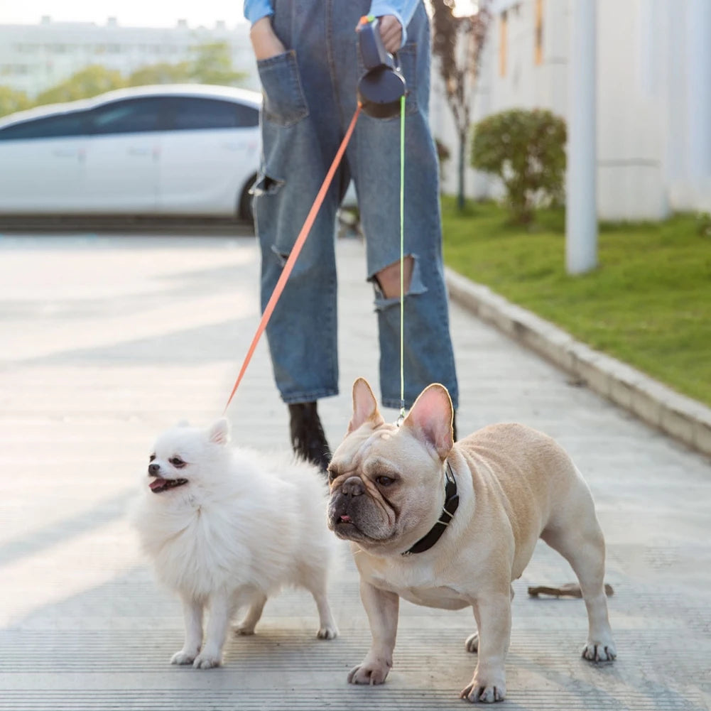 Double Head 360 Degree Rotating Dog Leash