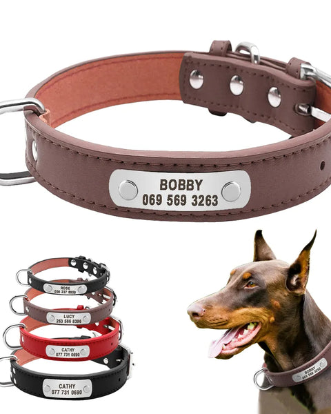 custom dog collar