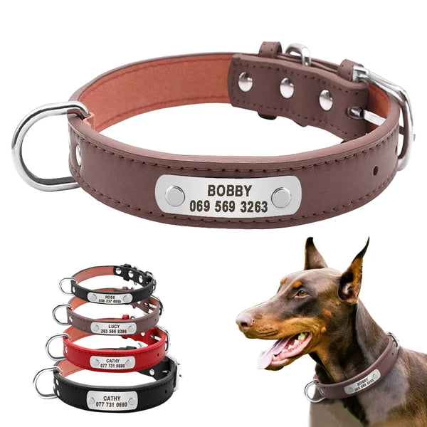 custom dog collar