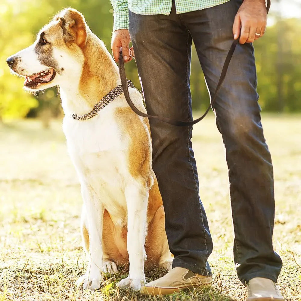 Long Genuine Leather Leashes for Medium and Large Dogs