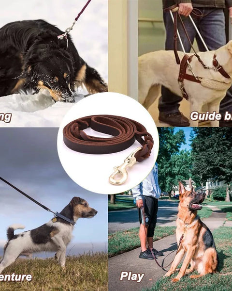Long Genuine Leather Leashes for Medium and Large Dogs