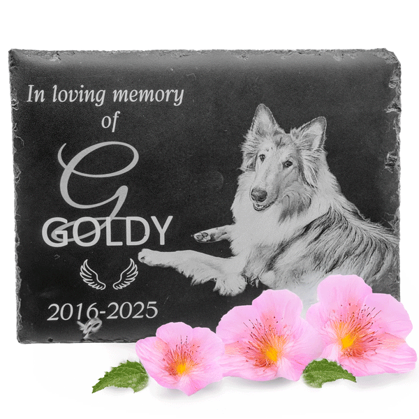 8x6 Inch Personalized Pet Memorial Plaque Indoor or Outdoor in Natural Black Slate 🐾