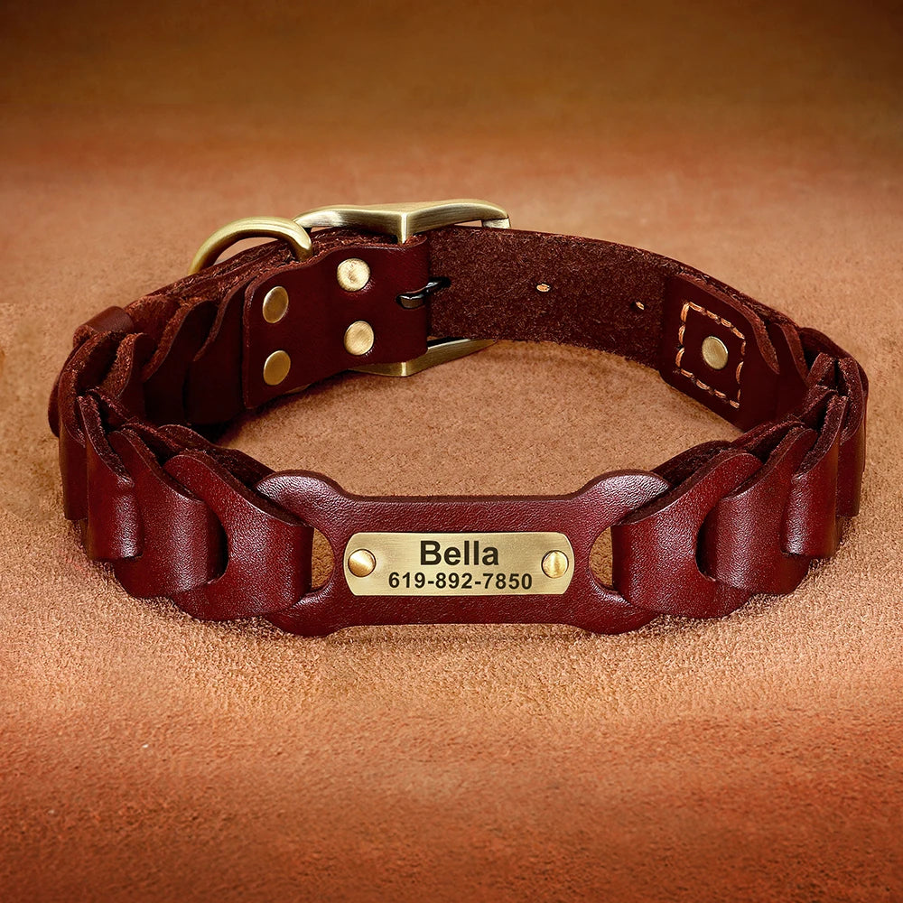 Leather Dog Collar With Name Plate