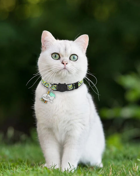 Cute Cat Collars with Customised  ID Tag