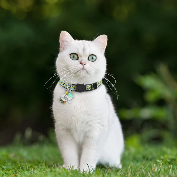 Cute Cat Collars with Customised  ID Tag