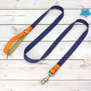  DeepBlue Leash