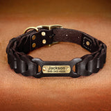 Leather Dog Collar With Name Plate