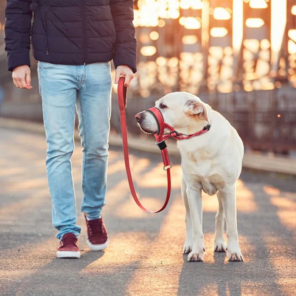 gentle leader for dogs