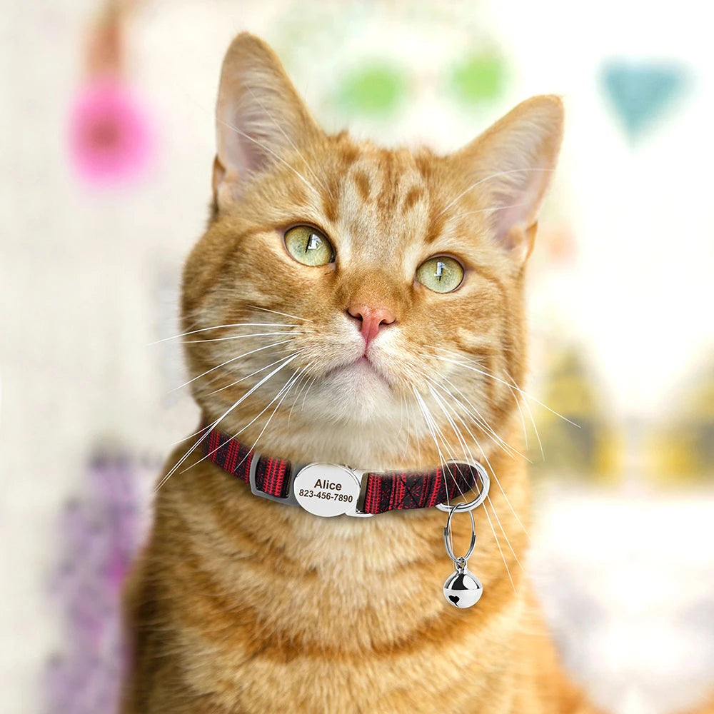 Personalized Colorful Cat Collar With Engraved Name.