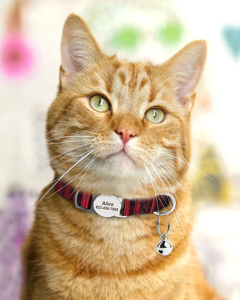 Personalized Colorful Cat Collar With Engraved Name.