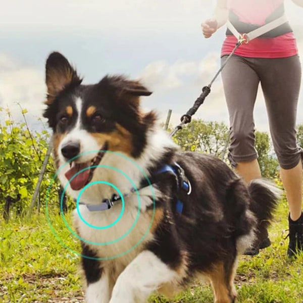 Waterproof Pet Tracker Collar