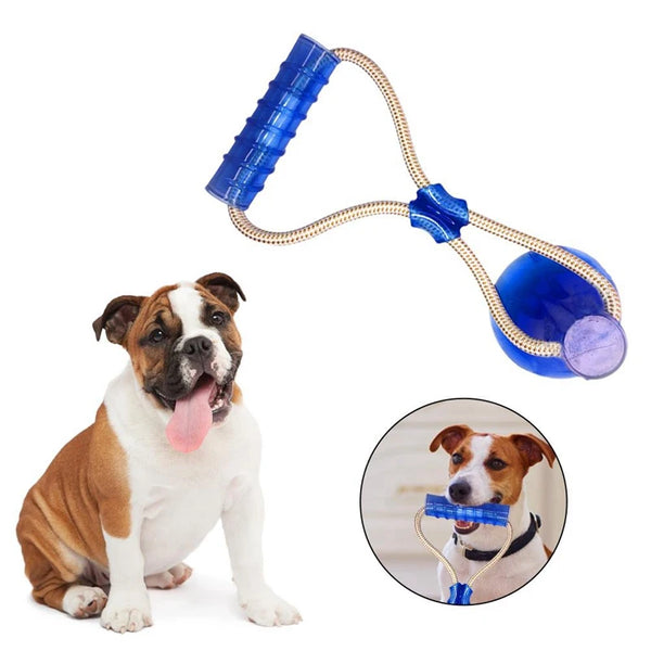 Interactive Suction Cup Chewing Toy