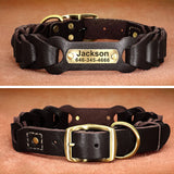 Leather Dog Collar With Name Plate