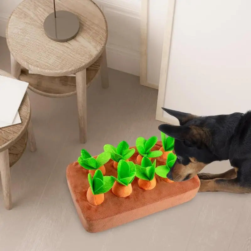 Carrot Snuffle Mat