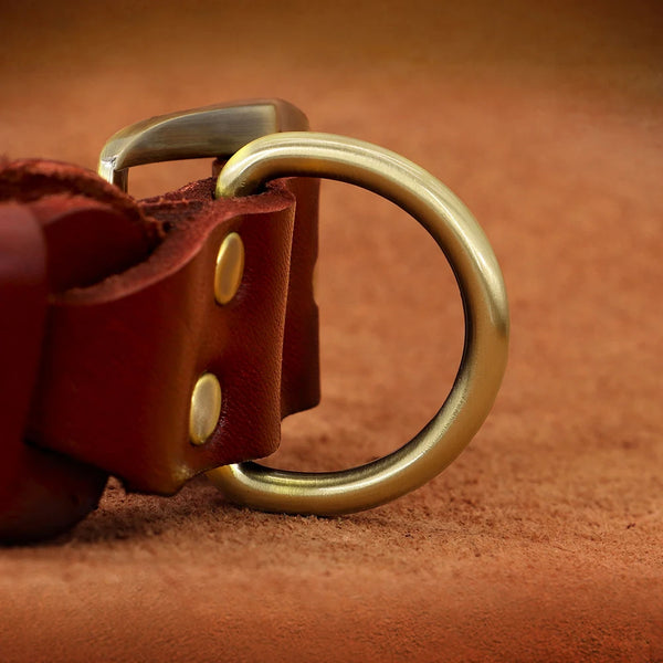 Leather Dog Collar With Name Plate