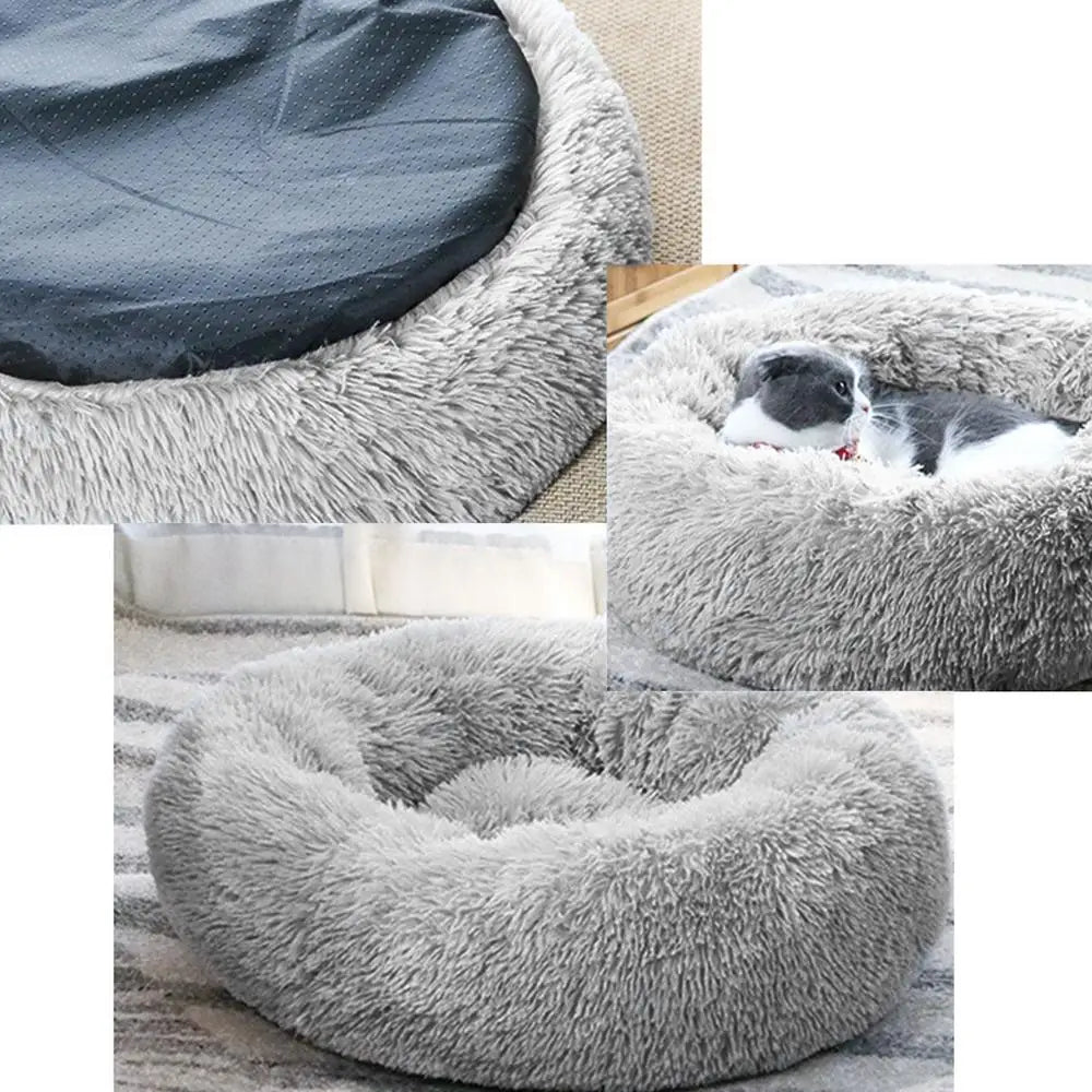 Electric Heated Bed