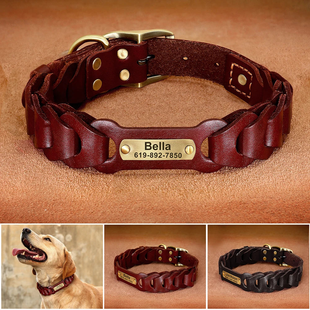 Leather Dog Collar With Name Plate