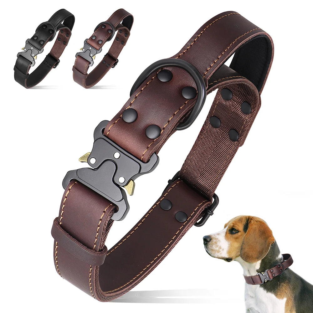 Soft Real Leather Dog Collar with Buckle and Handle for Medium and Large Dogs