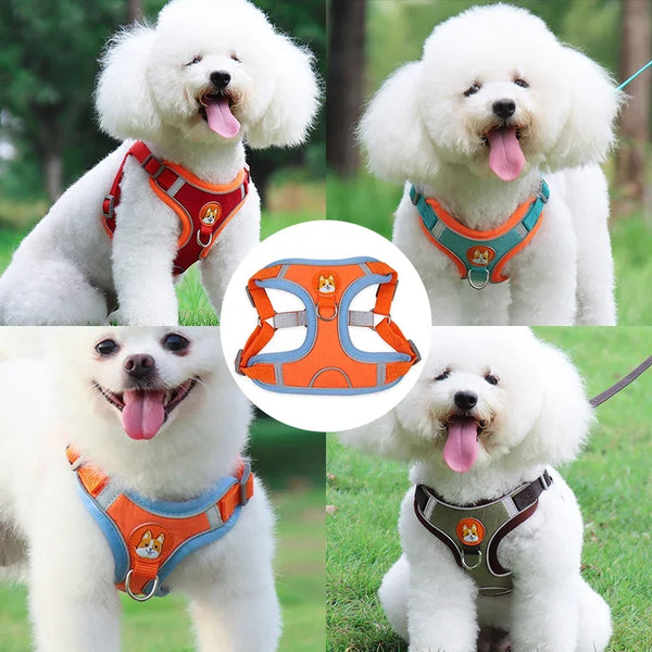 Reflective Harness Leash Set