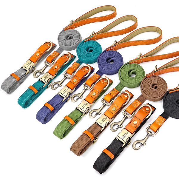 personalized dog collar and leash