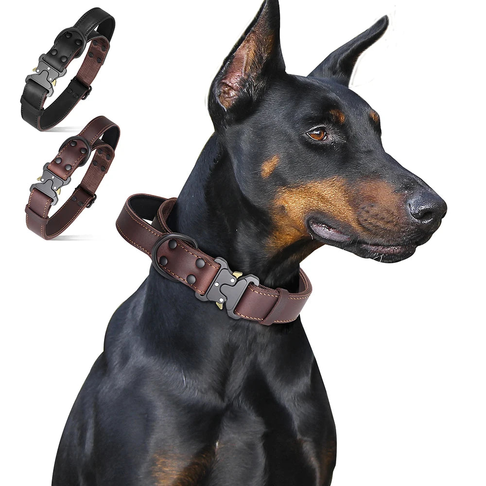 Soft Real Leather Dog Collar with Buckle and Handle for Medium and Large Dogs