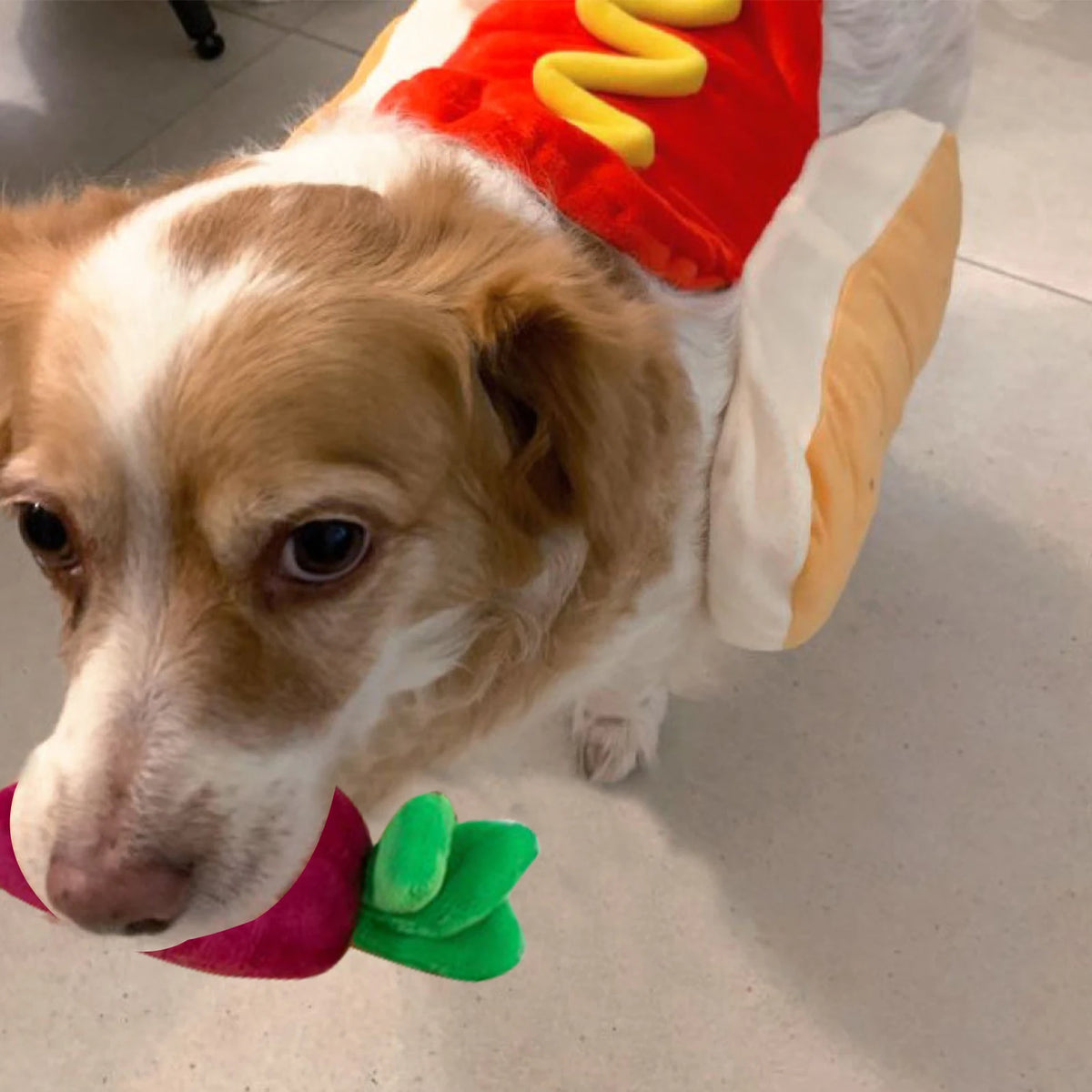 Vegetable-Designed Sniffing Plush Toy