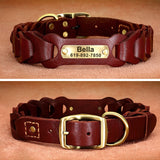 Leather Dog Collar With Name Plate