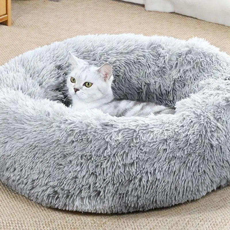 Electric Heated Bed