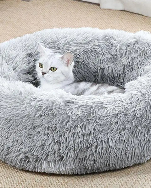 Electric Heated Bed