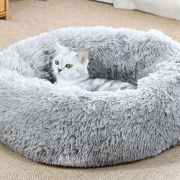 Electric Heated Bed